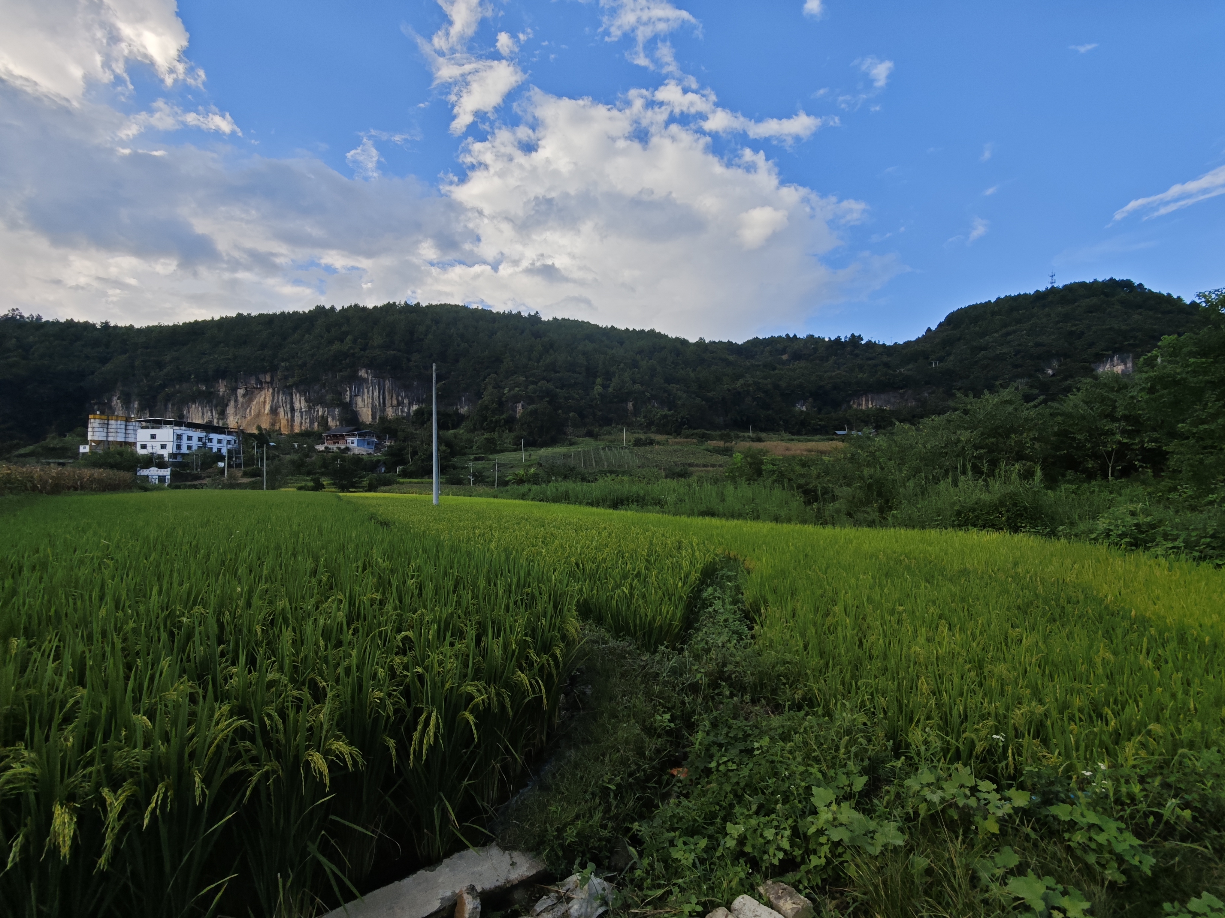 田野2